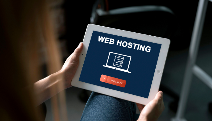 Let’s-take-look-at-the-main-elements-that-you-need to-keep-in-mind-while-choosing-your-web-hosting-service-bodhost